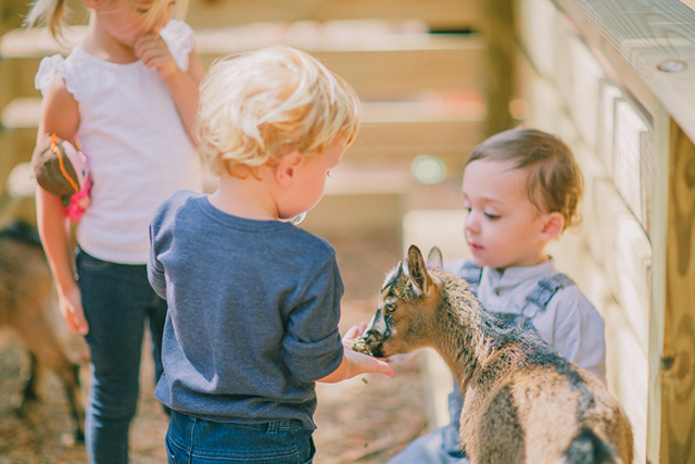 popupplaydate_eastereggnaturaldying_15